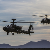 Buy canvas prints of  Apache hunter pair by P H