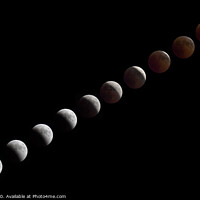 Buy canvas prints of Lunar Eclipse Sequence by P H