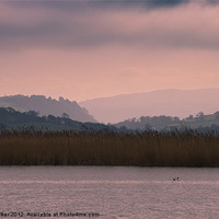 Buy canvas prints of Conway RSPB Reserve by john walker