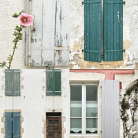 Buy canvas prints of Shutters and windows, Ile De Re, France by suzie Attaway