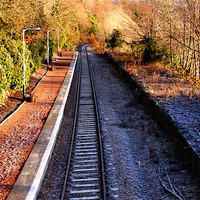 Buy canvas prints of Snowy Train Tracks at Lock Awe, Scotland by Elaine Steed