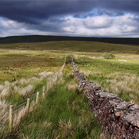 Buy canvas prints of Between the Lines -  Sarn Helen , Mid Wales by Elaine Steed