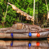 Buy canvas prints of Abandoned Boat - Norfolk Broads by Elaine Steed