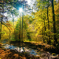 Buy canvas prints of Autumn At Agden by Brian Mellor