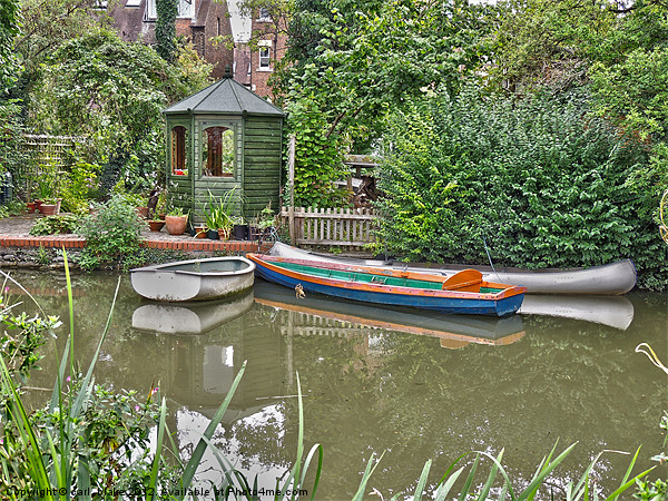 garden boat house Picture Board by carl blake