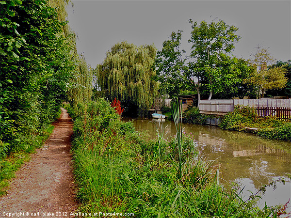 oxford canal Picture Board by carl blake