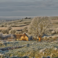 Buy canvas prints of frosty day 1 by carl blake