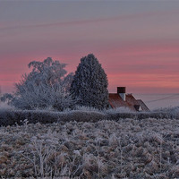 Buy canvas prints of frosty day 2 by carl blake