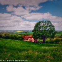 Buy canvas prints of the painted barn by carl blake