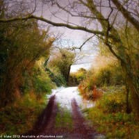 Buy canvas prints of the painted lane by carl blake