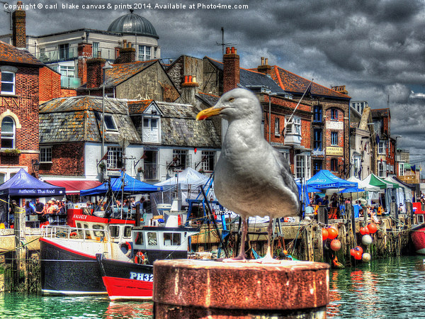 weymouth harbour  Picture Board by carl blake