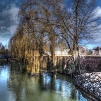Buy canvas prints of winters weeping willow  by carl blake