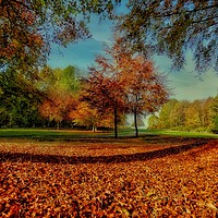 Buy canvas prints of golden autumn by carl blake