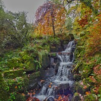 Buy canvas prints of A large waterfall in a forest by carl blake