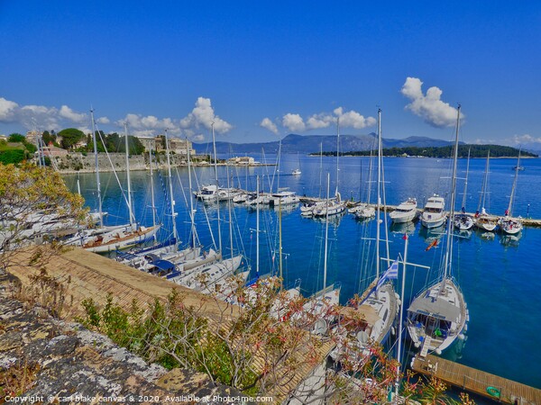 corfu harbour Picture Board by carl blake