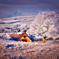 Buy canvas prints of winter barn by carl blake
