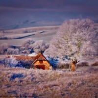 Buy canvas prints of christmas cottage by carl blake