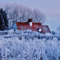 Buy canvas prints of home for winter by carl blake