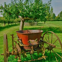 Buy canvas prints of the old orchard by carl blake