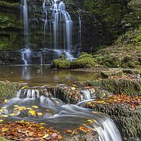Buy canvas prints of Scalebar Force by nick hirst