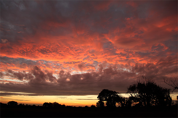 Majestic Red Sky Picture Board by Digitalshot Photography