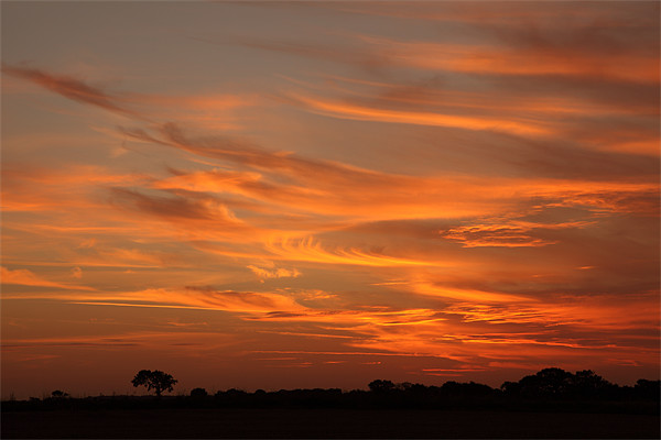 Majestic North Norfolk Sunset Picture Board by Digitalshot Photography