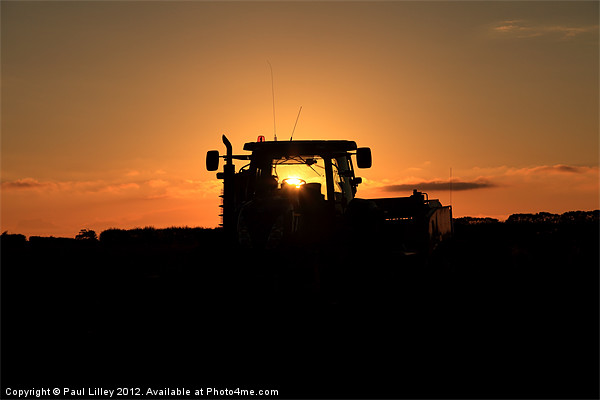 Harvesting Victory Picture Board by Digitalshot Photography