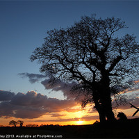 Buy canvas prints of Majestic North Norfolk Sunset by Digitalshot Photography