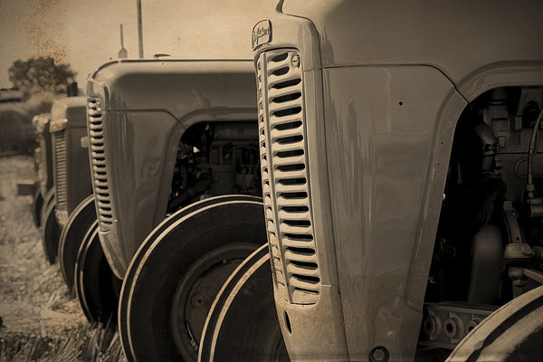 Ferguson TE20 Tractors Picture Board by Digitalshot Photography