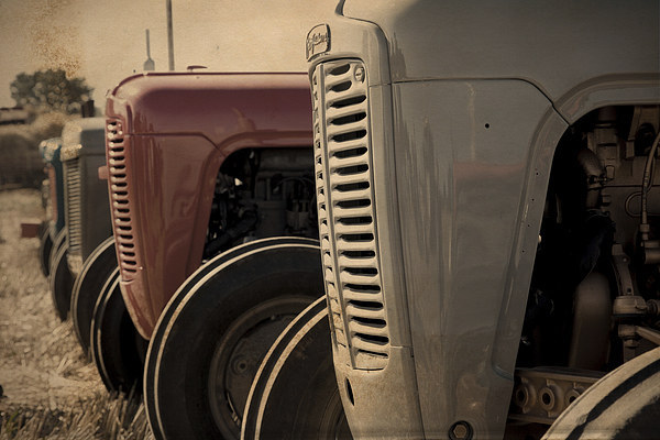 Classic Ferguson TE20 Tractors in Sepia Picture Board by Digitalshot Photography