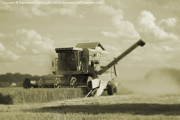 Majestic Harvesting Machine Picture Board by Digitalshot Photography