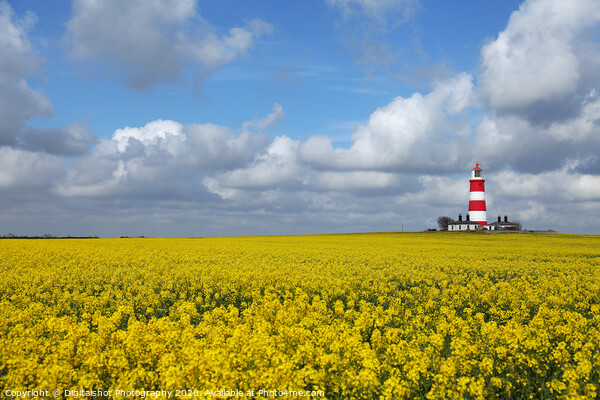 Bright Beacon in Norfolk Fields Picture Board by Digitalshot Photography