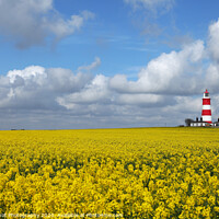 Buy canvas prints of Bright Beacon in Norfolk Fields by Digitalshot Photography