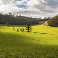 Buy canvas prints of Rolling Surrey hills  by Matthew Bruce