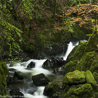 Buy canvas prints of Autumn Waterfall by Philip Pound