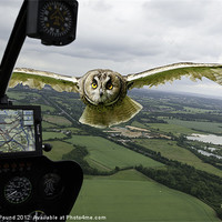 Buy canvas prints of Close Encounter at St Albans by Philip Pound