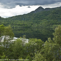 Buy canvas prints of Trees - Reflections in Scottish Loch by Philip Pound
