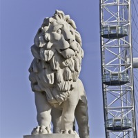 Buy canvas prints of London Eye Lion by Philip Pound