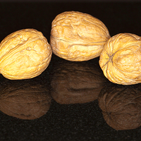 Buy canvas prints of Walnuts by Philip Pound