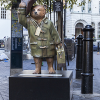 Buy canvas prints of  Parka Bear by Philip Pound
