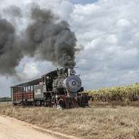 Buy canvas prints of  Steam Train and the Sugar Cane Fields by Philip Pound