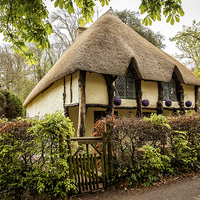 Buy canvas prints of  Thatched Cottage in Devon England by Philip Pound