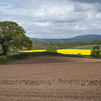 Buy canvas prints of  Shropshire Country View by Philip Pound