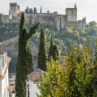 Buy canvas prints of  Looking at the Alhambra Palace from the Albaicin  by Philip Pound