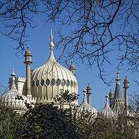 Buy canvas prints of The Royal Pavilion Dome Brighton by Philip Pound