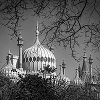 Buy canvas prints of Brighton Royal Pavilion Dome by Philip Pound