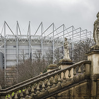 Buy canvas prints of Newcastle United Football Ground by Philip Pound