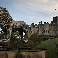 Buy canvas prints of Lion at Alnwick Castle in Northumberland by Philip Pound