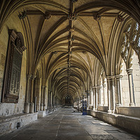 Buy canvas prints of Norwich Cathedral Cloisters by Philip Pound