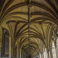Buy canvas prints of Cloisters at Norwich Cathedral  by Philip Pound